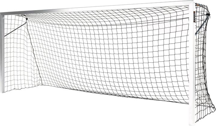 Immagine prodotto Sport-Thieme Porta di calcio giovanile BlueGoal