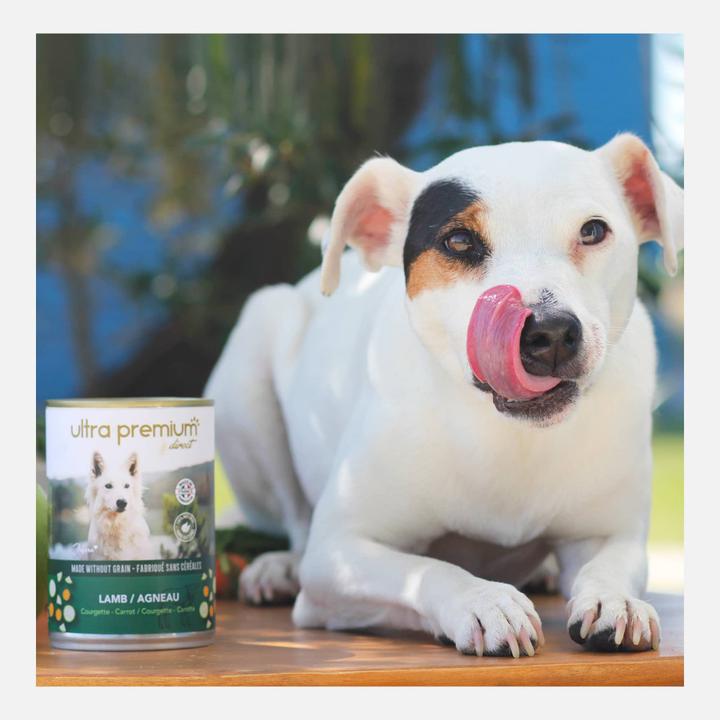 Image du produit Ultra Premium Direct Wet Food - Agneau (Adulte, 12 pcs, 4800 g)
