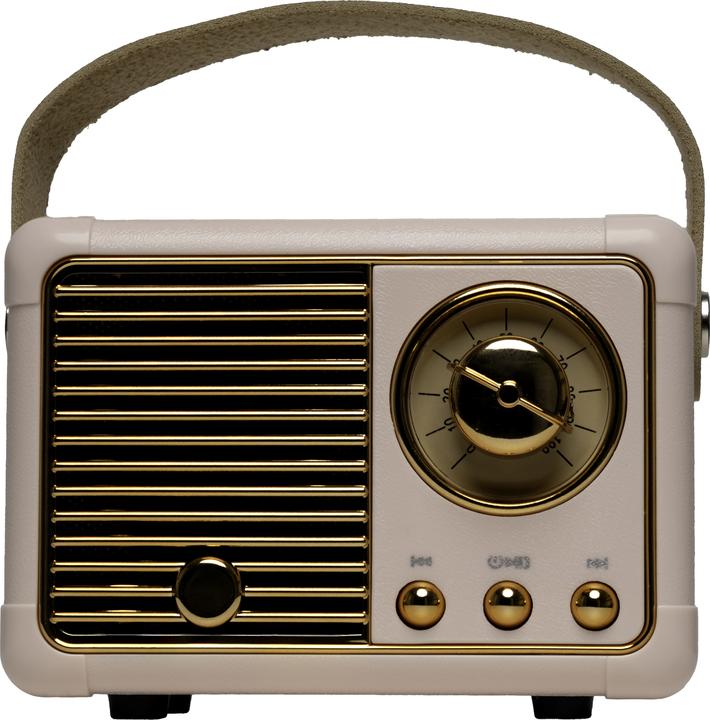 Actual product image Denver Retro BT loudspeaker BTP-203 (4 h, Rechargeable battery operated)