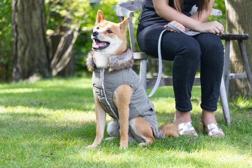 Produktbild Designed by Lotte Hundemantel Philos (XXXL, Hundemantel)