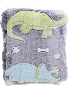 Productafbeelding Toi-Toys Glow N Fun Glow in the Dark Dino deken, 130x150cm (130 x 150 cm)