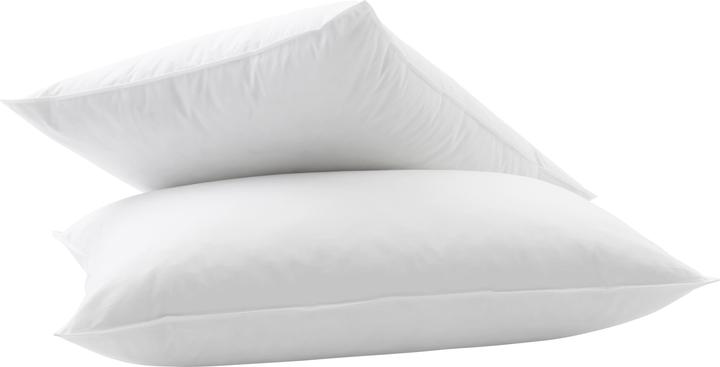 Actual product image Billerbeck Duplo 150 (65 x 100 cm)
