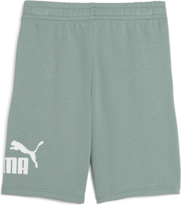 Produktbild Puma ESS No. 1 Logo Shorts TR B (152)
