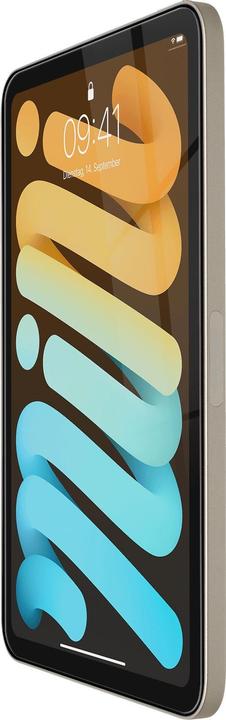 Actual product image Artwizz SecondDisplay screen protector for iPad mini 2021 8 (1 Piece, iPad mini 6)