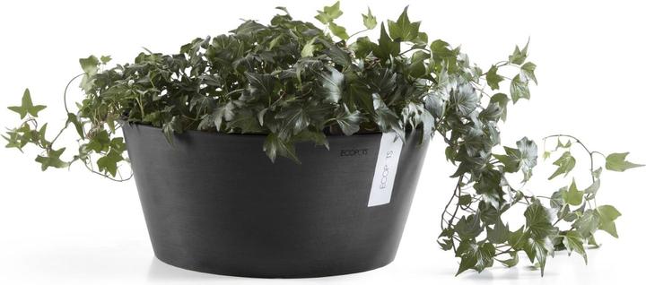 Actual product image Ecopots Frankfurt (50 cm)