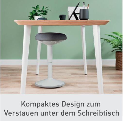 Immagine prodotto Leitz Ergo Active