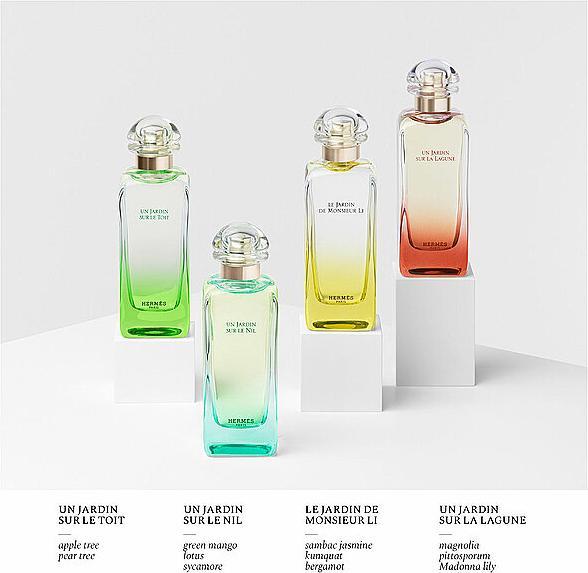 Actual product image Hermès Un Jardin sur le Toit (Eau de toilette, 100 ml)