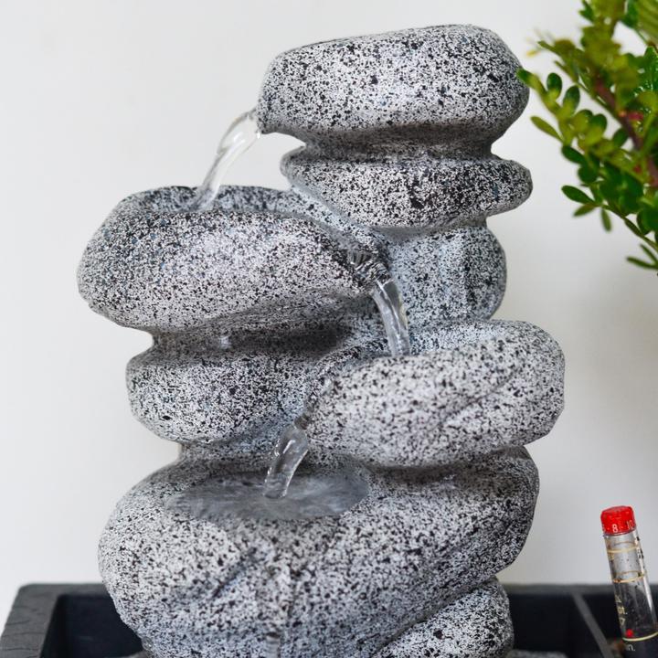 Produktbild Plant in a Box Bonsai Ligustrum, Carmona, Ficus Retusa, Syzygium, Sageretia - Bonsai Wassersystem Steine (25 cm)