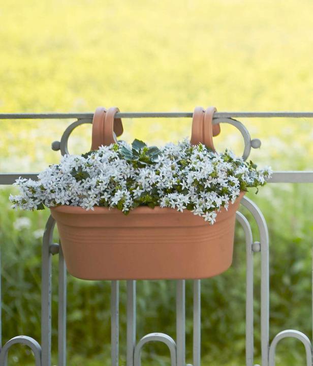 Produktbild Elho Balkonkasten Easy Hanger Green Basics, oval, 26x36x25,7 cm, aus Kunststoff in terracotta (26.20 cm)