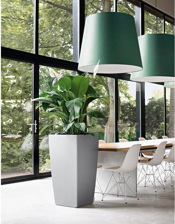 Actual product image Lechuza Cubico (50 cm)