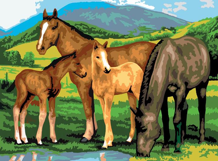 Immagine prodotto Magni Pittura con i numeri - Junior "Cavalli", quadro fai-da-te di circa 40 x 32,5 cm, inclusi 7 colori