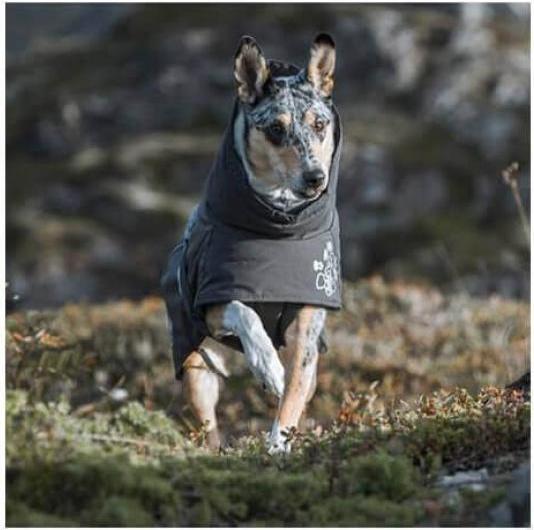Image du produit Hurtta Le réchauffement extrême (30, XS, Manteau pour chien)