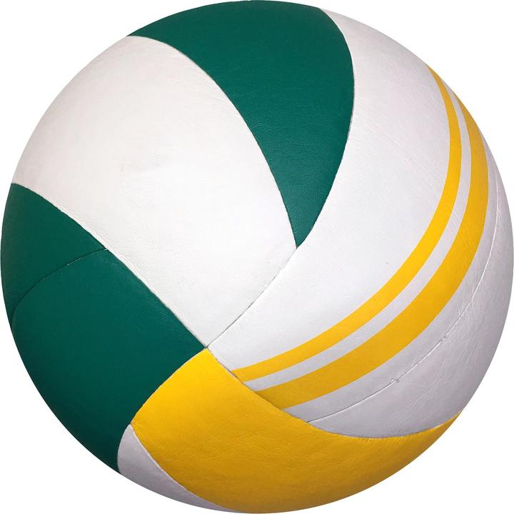 Immagine prodotto Sport-Thieme Coppa d'oro di pallavolo 2022 (5)