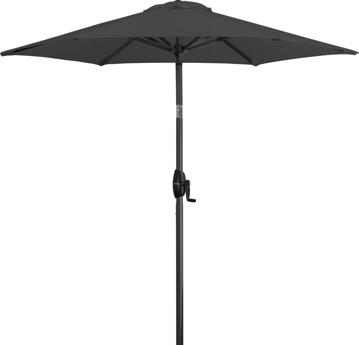 Derby Basic Lift Neo (1.80 m)
