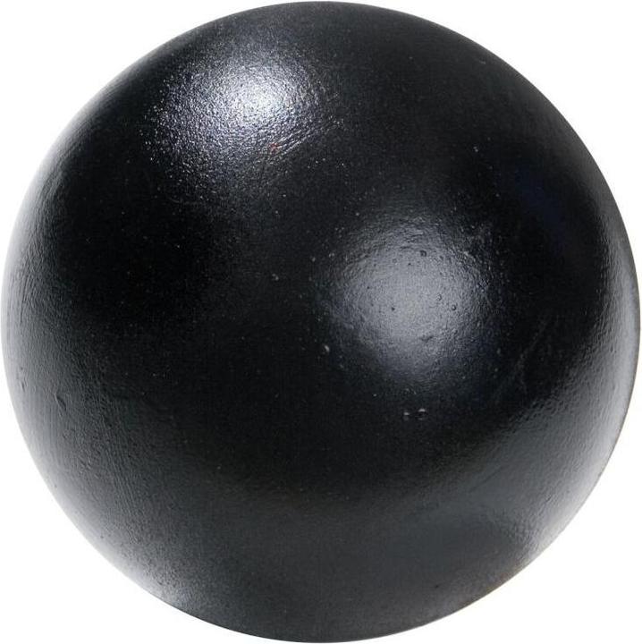 Image du produit Tanga Sports poids à lancer (4000 g)