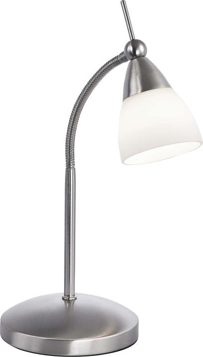 Produktbild Paul Neuhaus stahl LEDTischleuchte 3000K 3W (265 lm, G9)