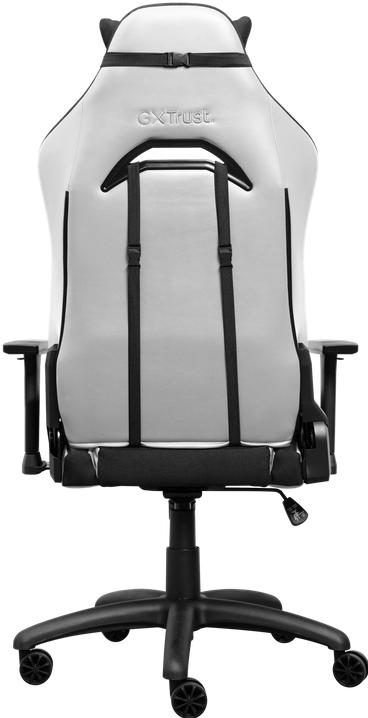 Actual product image Trust GXT714 RUYA Gaming Chair Black/White