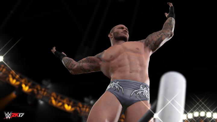 Image du produit 2K Games WWE 2K17 (PS4)