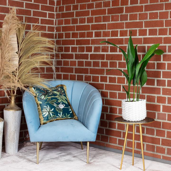 Produktbild Flowerbox Schusterpalme - Aspidistra elatior (70 cm)