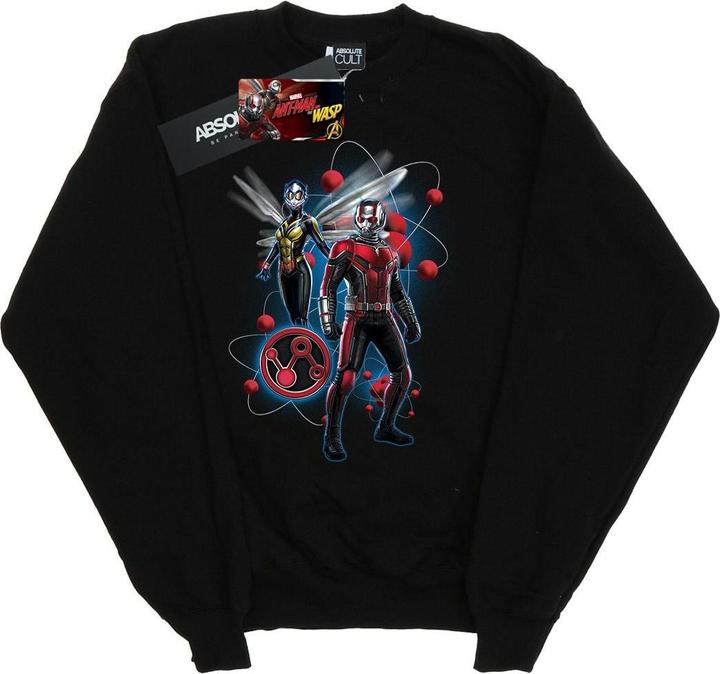 Jungen AntMan Und Die Wespe Partikel Pose Sweatshirt
