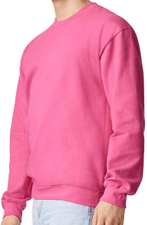 Produktbild Gildan Softstyle Sweatshirt (4XL)