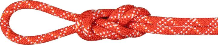Mammut Kletterseil 9.5 Gym Classic Rope 50 m (50 m)