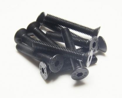 Actual product image EP M4x25 countersunk screws (10 Screws per piece)