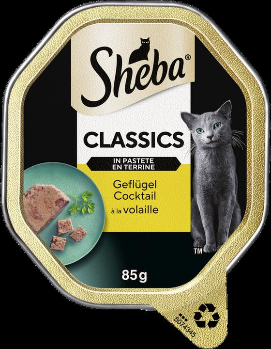 Sheba Classics in Pastete Geflügel Cocktail Schale (Adult, 22 Stk., 1870 g)