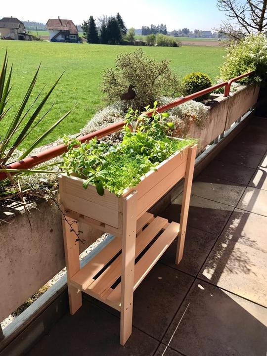 Image du produit DIY-Wood Robuste