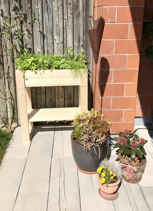 Image du produit DIY-Wood Robuste