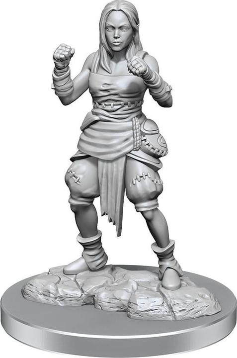 Produktbild Wizkids Pathfinder Battles Deep Cuts pack 2 miniatures à peindre Half-Elf Monk Female (carton de 2)