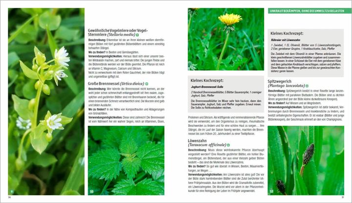 Produktbild Giftfrei gärtnern. Die besten Methoden und Tipps für einen naturnahen Garten ohne Chemie. (Deutsch, Sandra Lefrançois, 2021)
