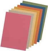 Actual product image Elba File cover, DIN A4, manila cardboard, without print, orange 250 gsm (A4, 1 x)
