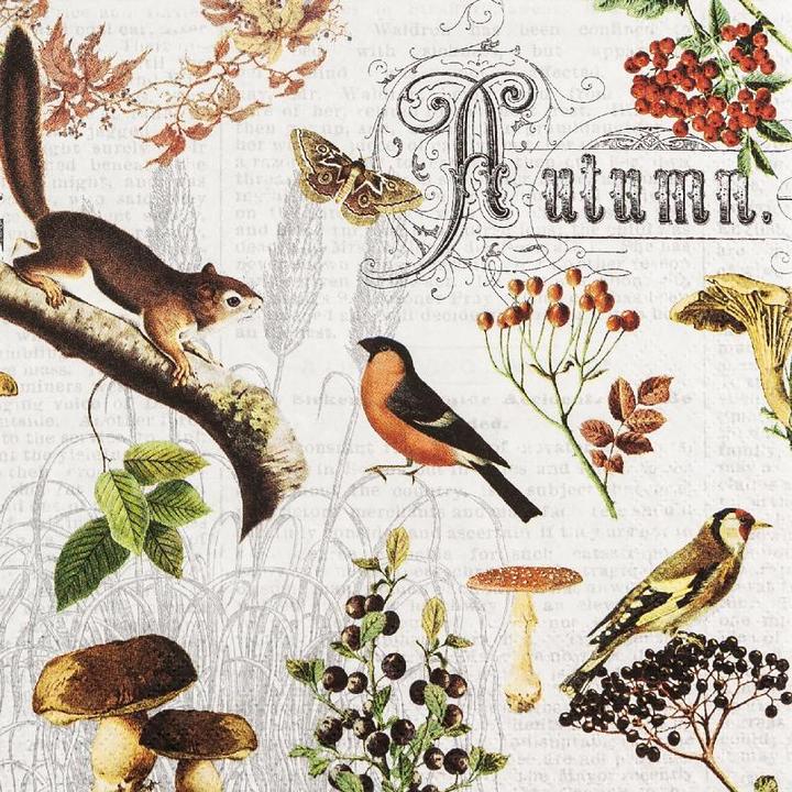 Home Fashion Herbst Collage (20 x, 33 x 33 cm)