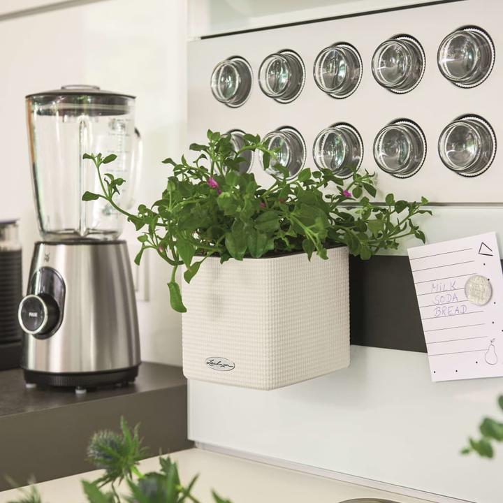 Actual product image Lechuza Green Wall Home Kit (15 cm)