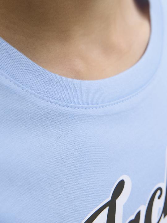 Actual product image Jack & Jones Jjelogo Tee Ss Oneck 2 Col Aw25 Noos Jnr (140)
