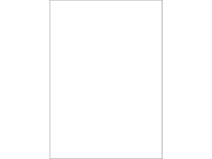 Actual product image HERMA Recycling labels A4