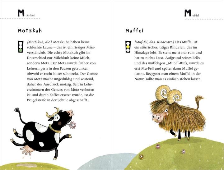 Produktbild Dr. Tielmanns streng geheimes Schimpfwörterbuch (Deutsch, Christian Tielmann, 2018)
