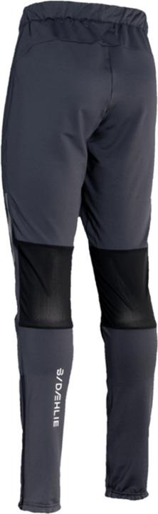 Actual product image Daehlie M Pants Flow 2.0 (L)