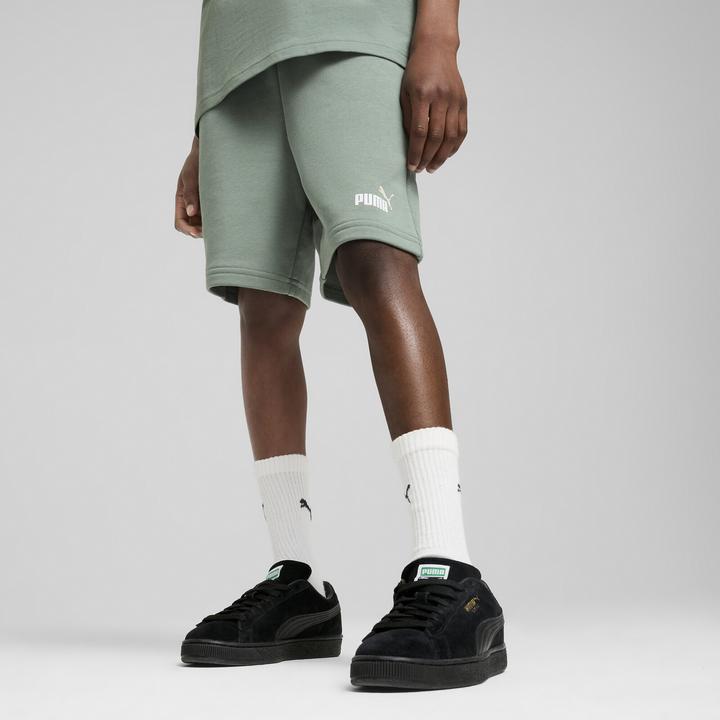 Actual product image Puma ESS 2 COLOR No. 1 Logo Shorts TR B (164)