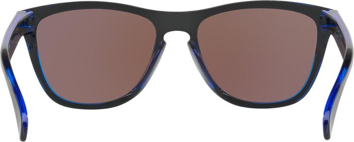 Actual product image Oakley Frogskins