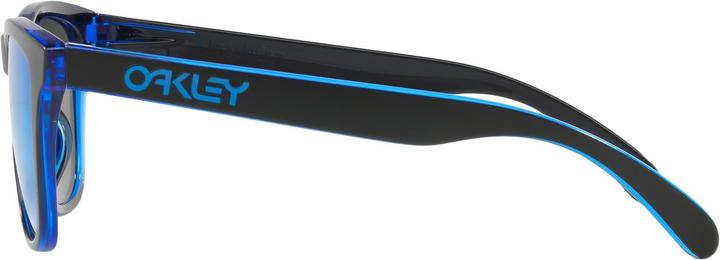 Actual product image Oakley Frogskins