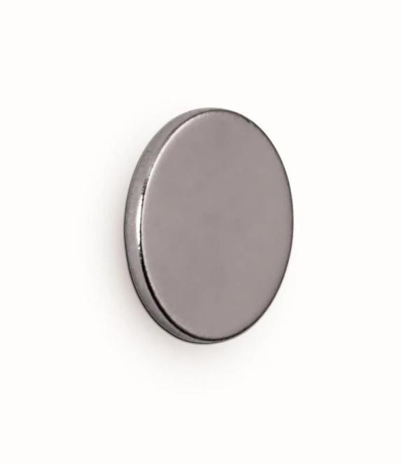 Actual product image Maul Neodymium magnet (10 x)