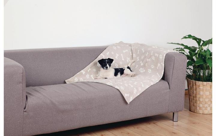 Produktbild Trixie Kenny (Hund)