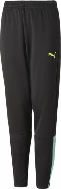 Actual product image Puma teamLIGA Training Pants Jr-657243 (176)