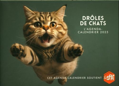 Image du produit Drôles de chats : l'agenda-calendrier 2025 (Français)