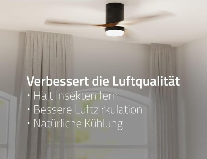 Actual product image Hombli Deckenventilator mit Licht (43 dB)