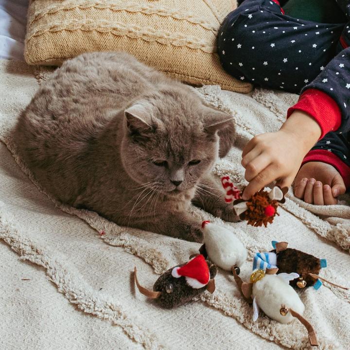 Actual product image Red Dingo DINGO cat toy (Play mouse cat)