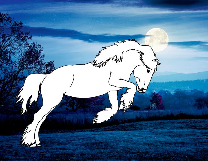 Image du produit Livre de coloriage Chevaux de rêve : la nature sauvage