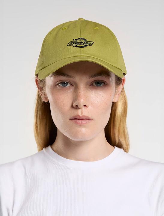 Actual product image Dickies Essential Dad Cap (One size)